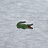 Lacoste Live