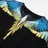 Marcelo Burlon
