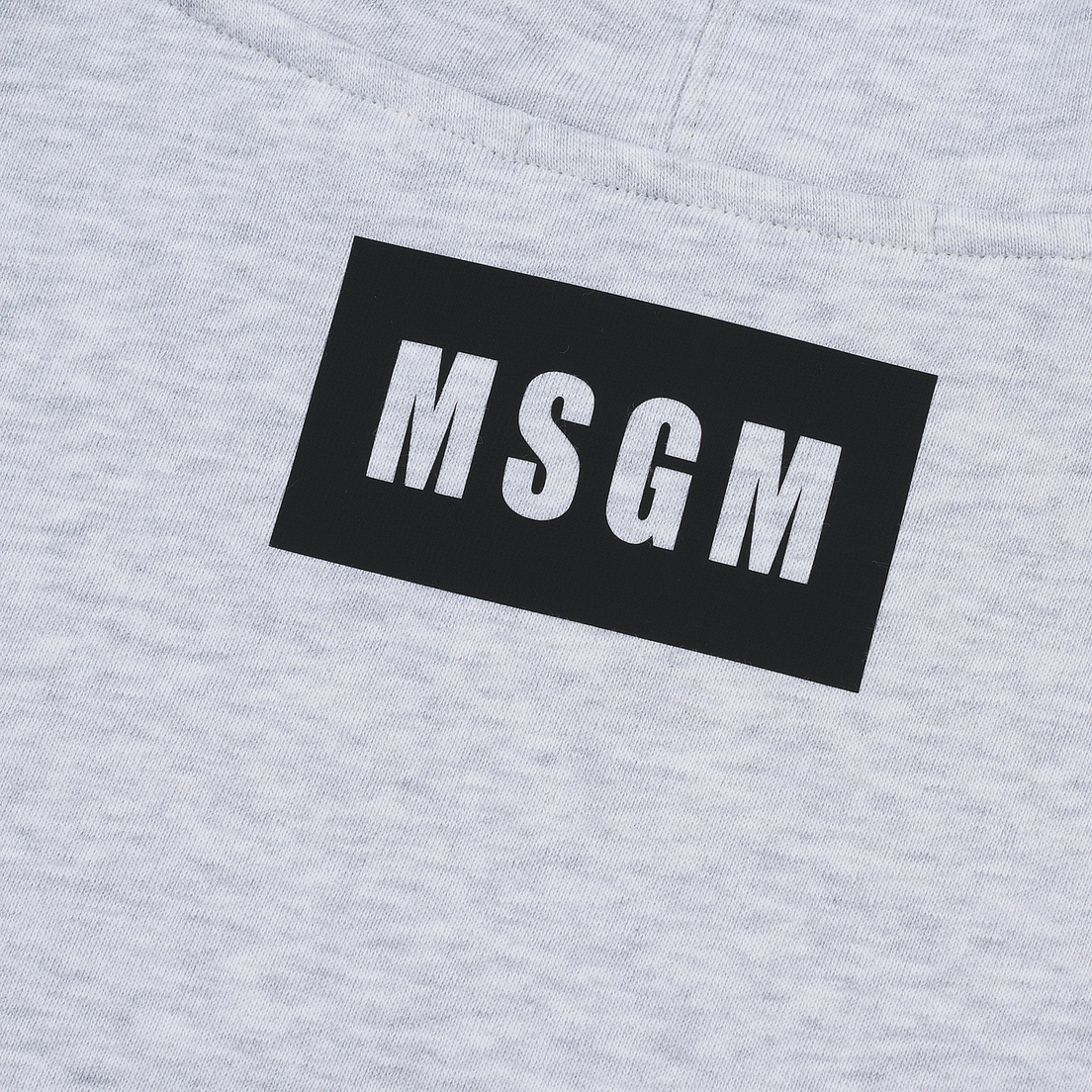 MSGM Мужская толстовка Logo Print Hoodie