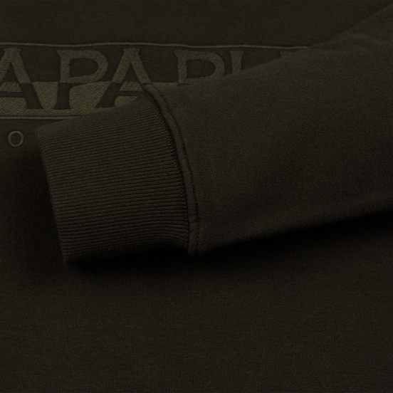 Мужская толстовка Napapijri Berber Hoodie Green Forest