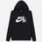 Nike SB