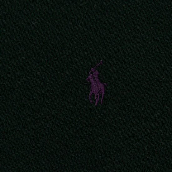 Мужская толстовка Polo Ralph Lauren Embroidered Pony Fleece Crew Neck College Green