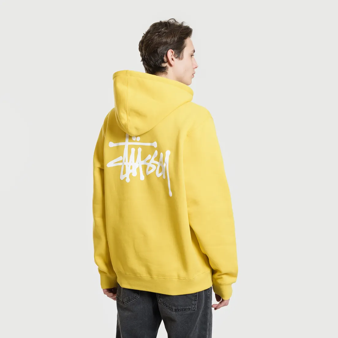 Stussy Мужская толстовка Basic Stussy Hoodie