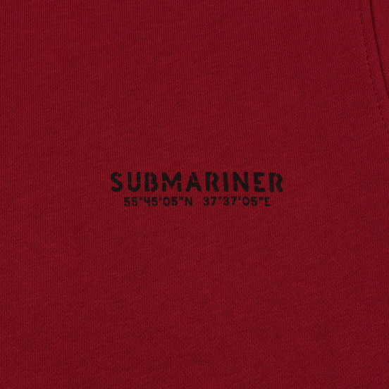 Мужская толстовка Submariner Main Logo Print Bordeaux