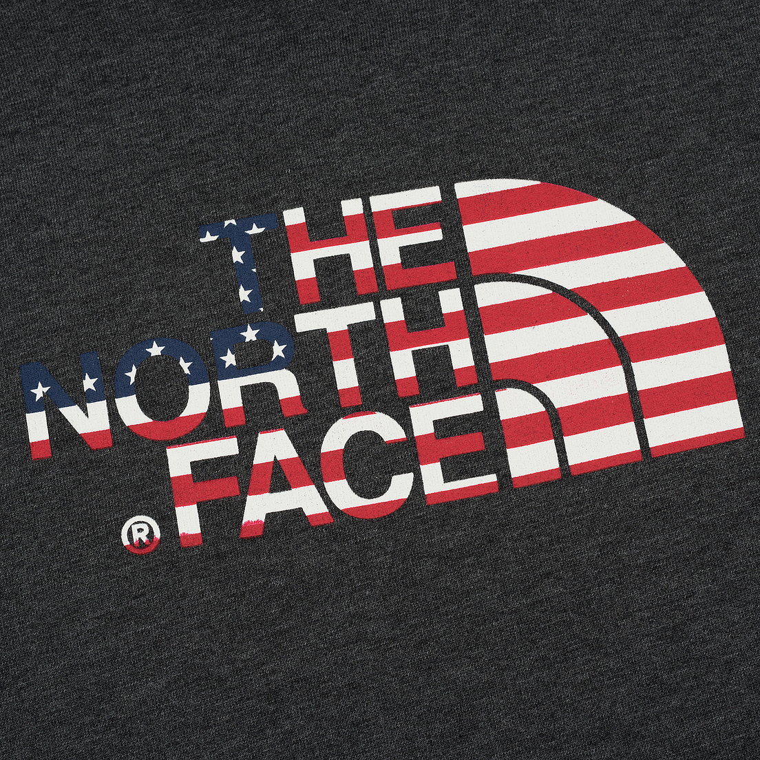 The North Face Мужская толстовка IC Logo Hoodie