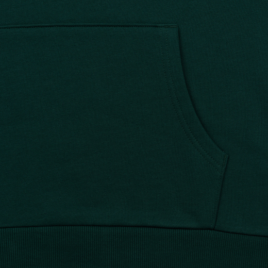 Мужская толстовка The North Face Raglan Red Box Hoodie Night Green