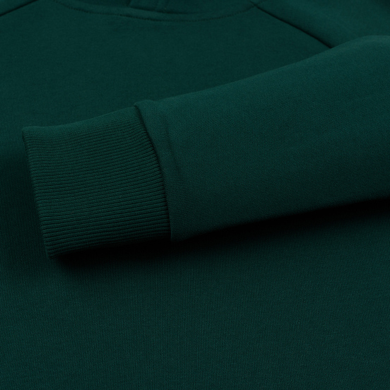 Мужская толстовка The North Face Raglan Red Box Hoodie Night Green