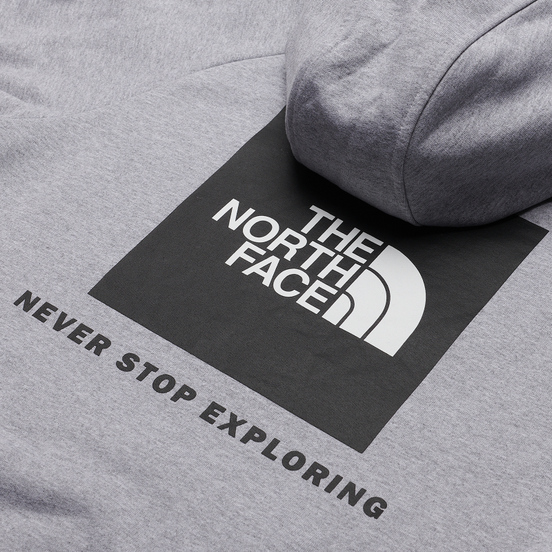 Мужская толстовка The North Face Raglan Red Box Hoodie TNF Light Gray