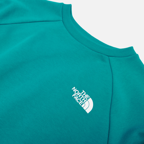 Мужская толстовка The North Face Raglan Redbox Crew Jaiden Green