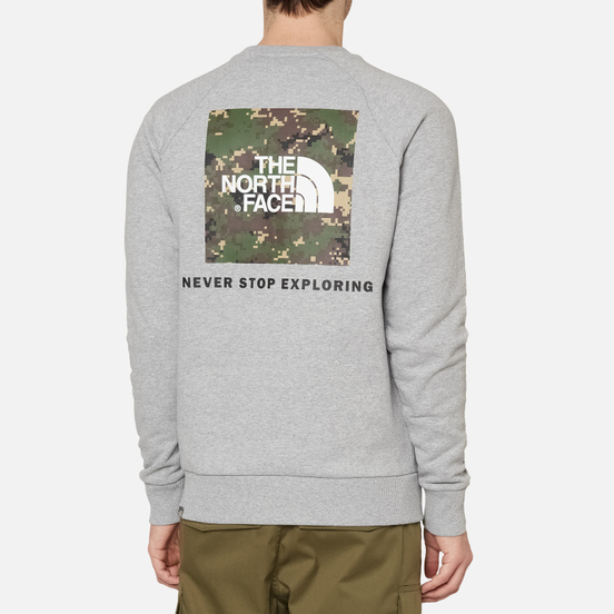 Мужская толстовка The North Face Raglan Redbox Crew TNF Light Grey Heather/English Green