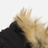 Napapijri