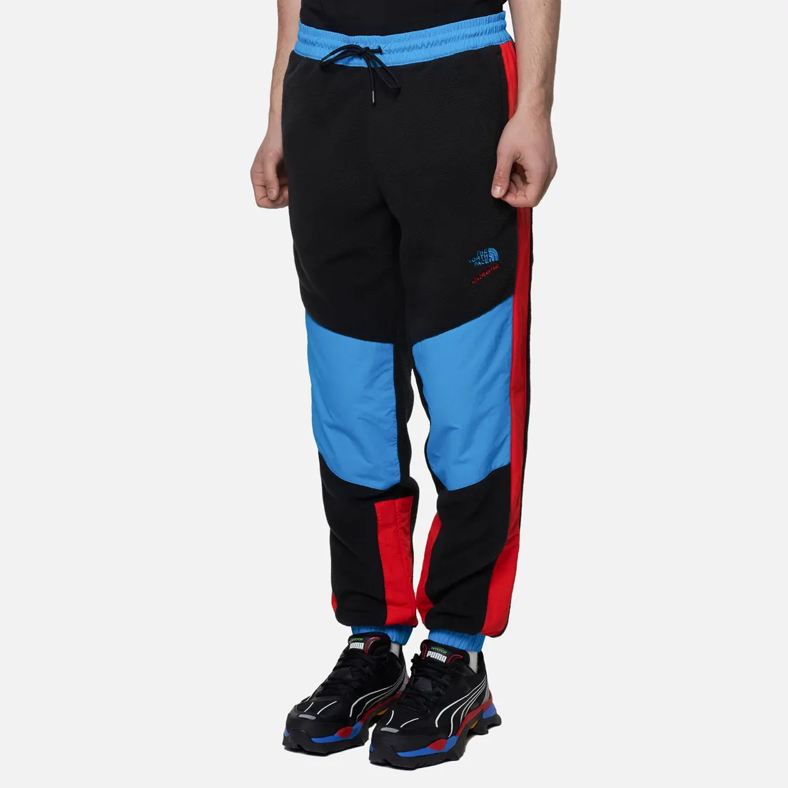 The North Face Мужские брюки 92 Extreme Fleece
