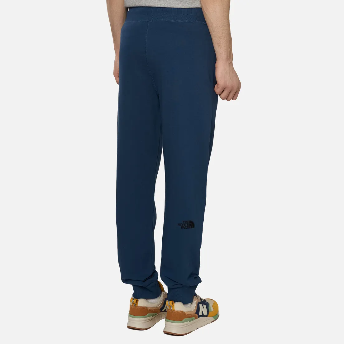 The North Face Мужские брюки NSE Light