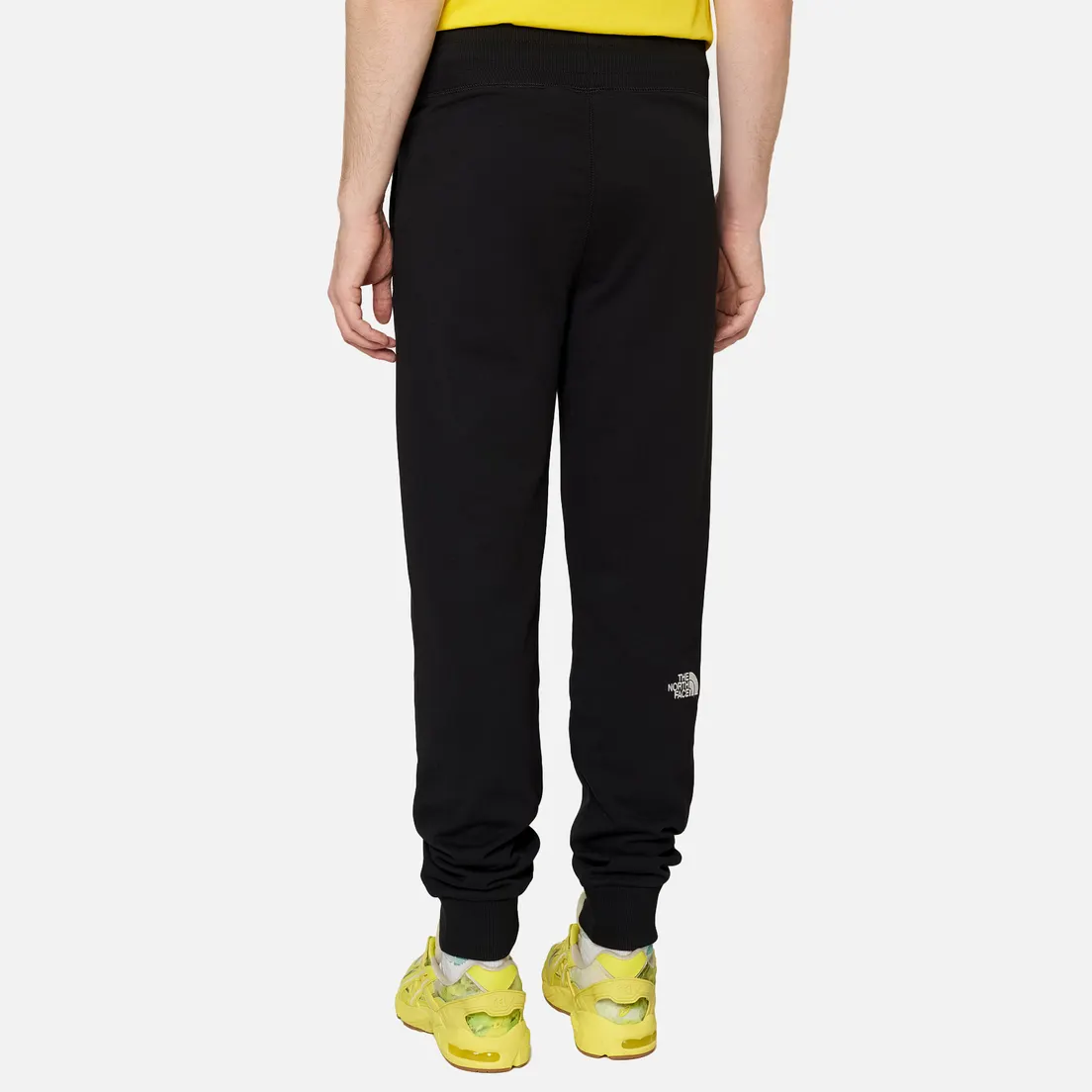 The North Face Мужские брюки NSE Light