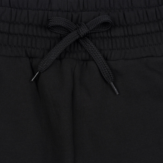 Мужские брюки The North Face Standard TNF Black