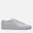 Common Projects