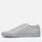 Common Projects