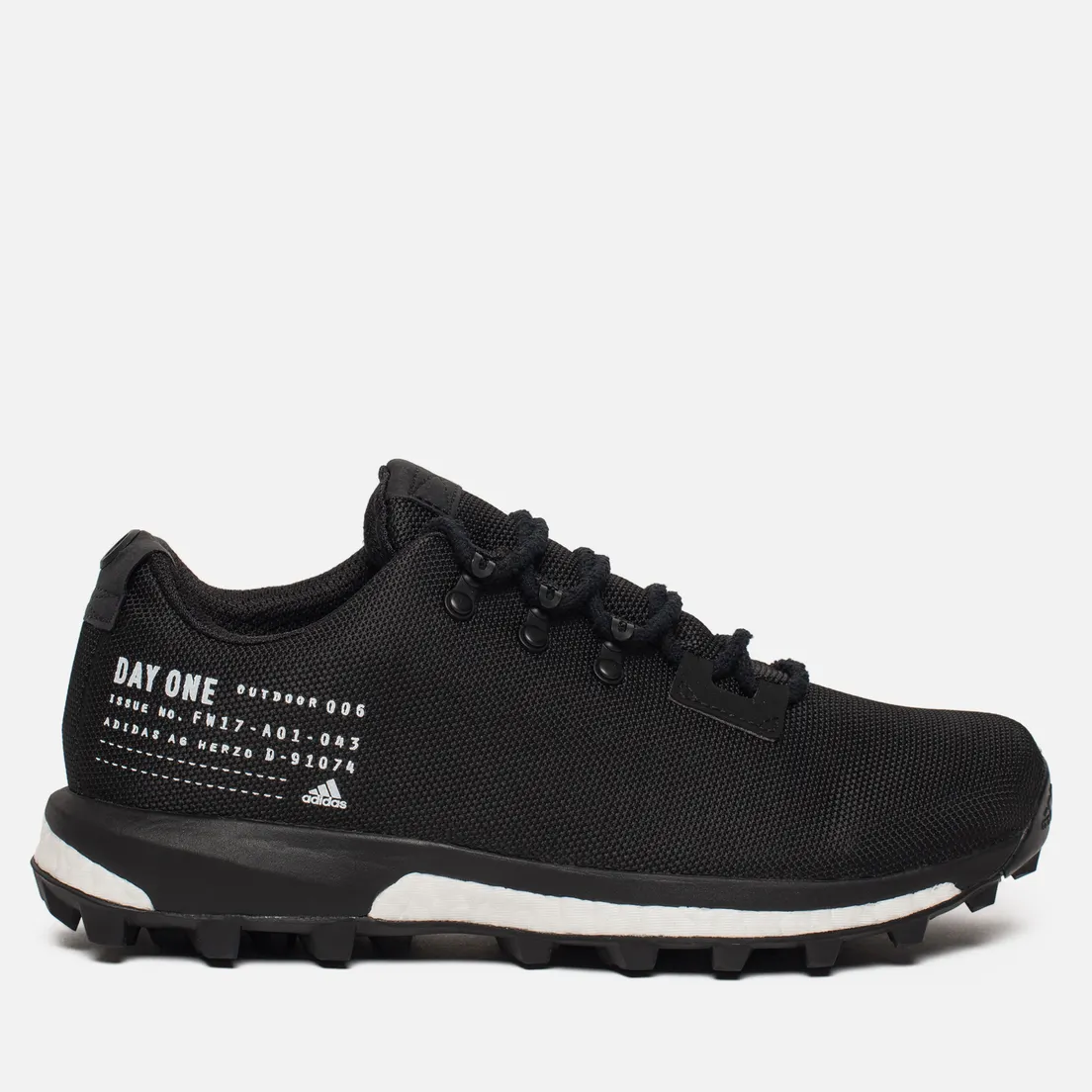 adidas Originals Мужские кроссовки Day One Terrex Agravic