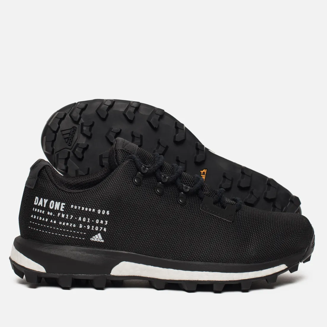 adidas Originals Мужские кроссовки Day One Terrex Agravic