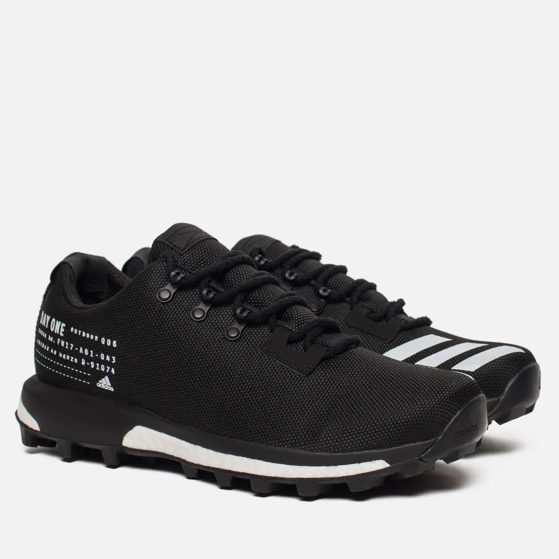 adidas Originals Мужские кроссовки Day One Terrex Agravic