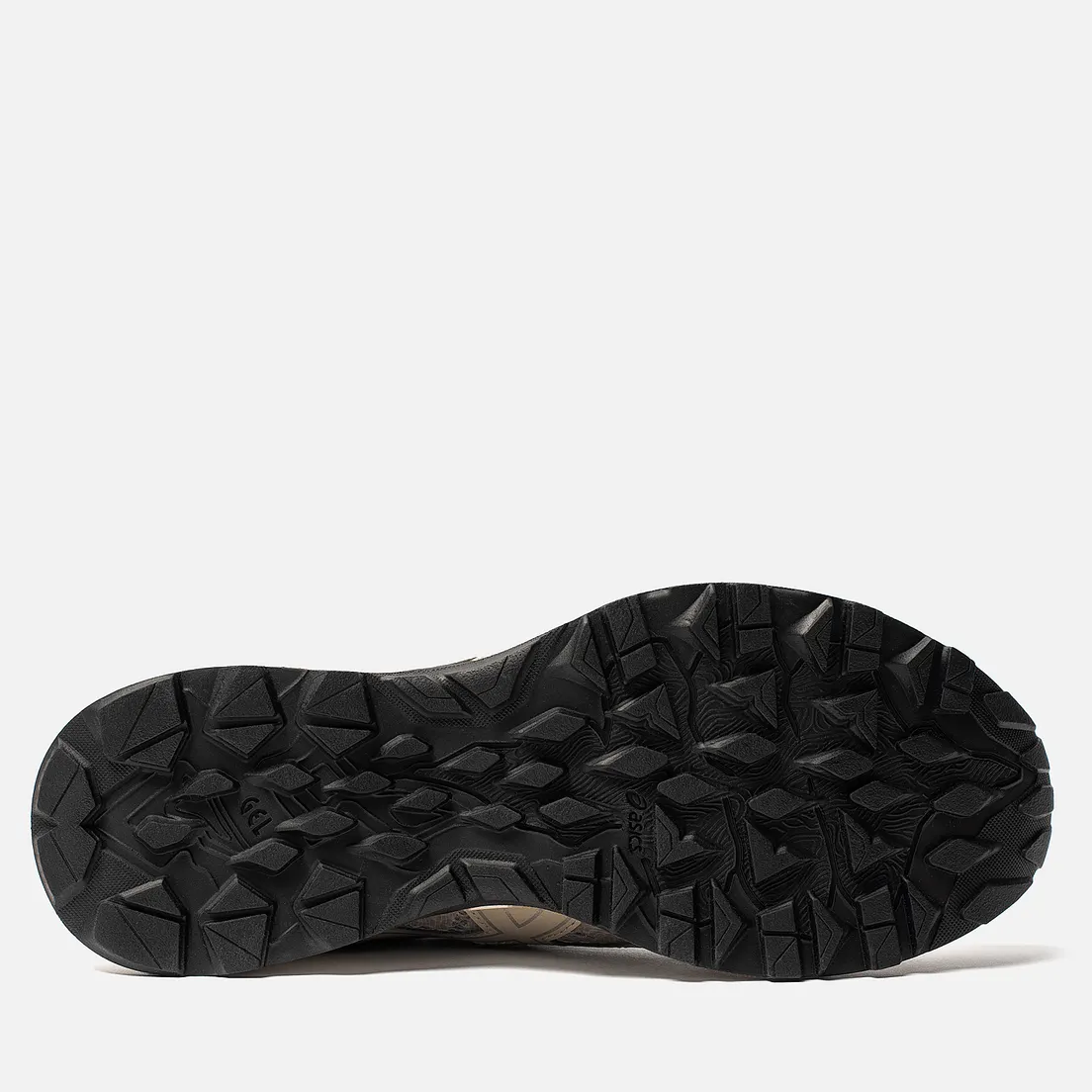 ASICS Мужские кроссовки Gel-Sonoma 5 Gore-Tex SPS