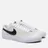 Nike SB