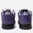 Nike SB
