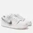 Nike SB