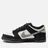 Nike SB
