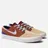 Nike SB
