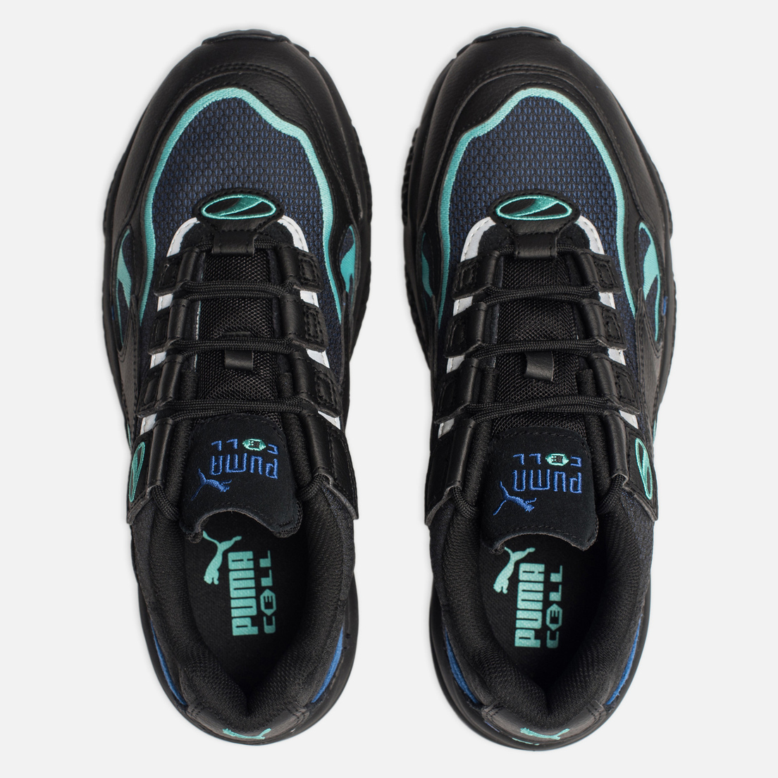 puma venom