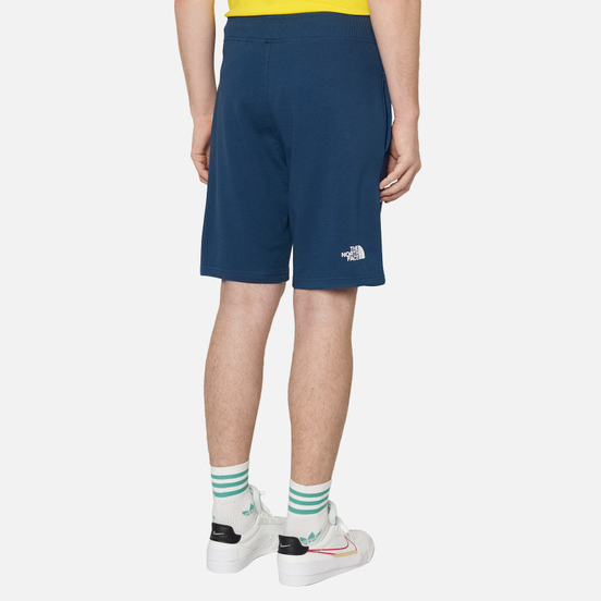 Мужские шорты The North Face Stand Light Blue Wing Teal