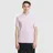 Lacoste Live