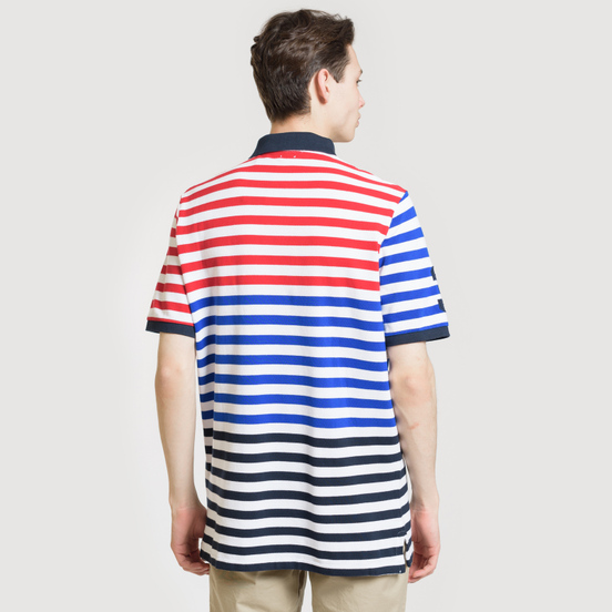 Мужское поло Polo Ralph Lauren All Over Stripe Aviator Navy/Multicolor