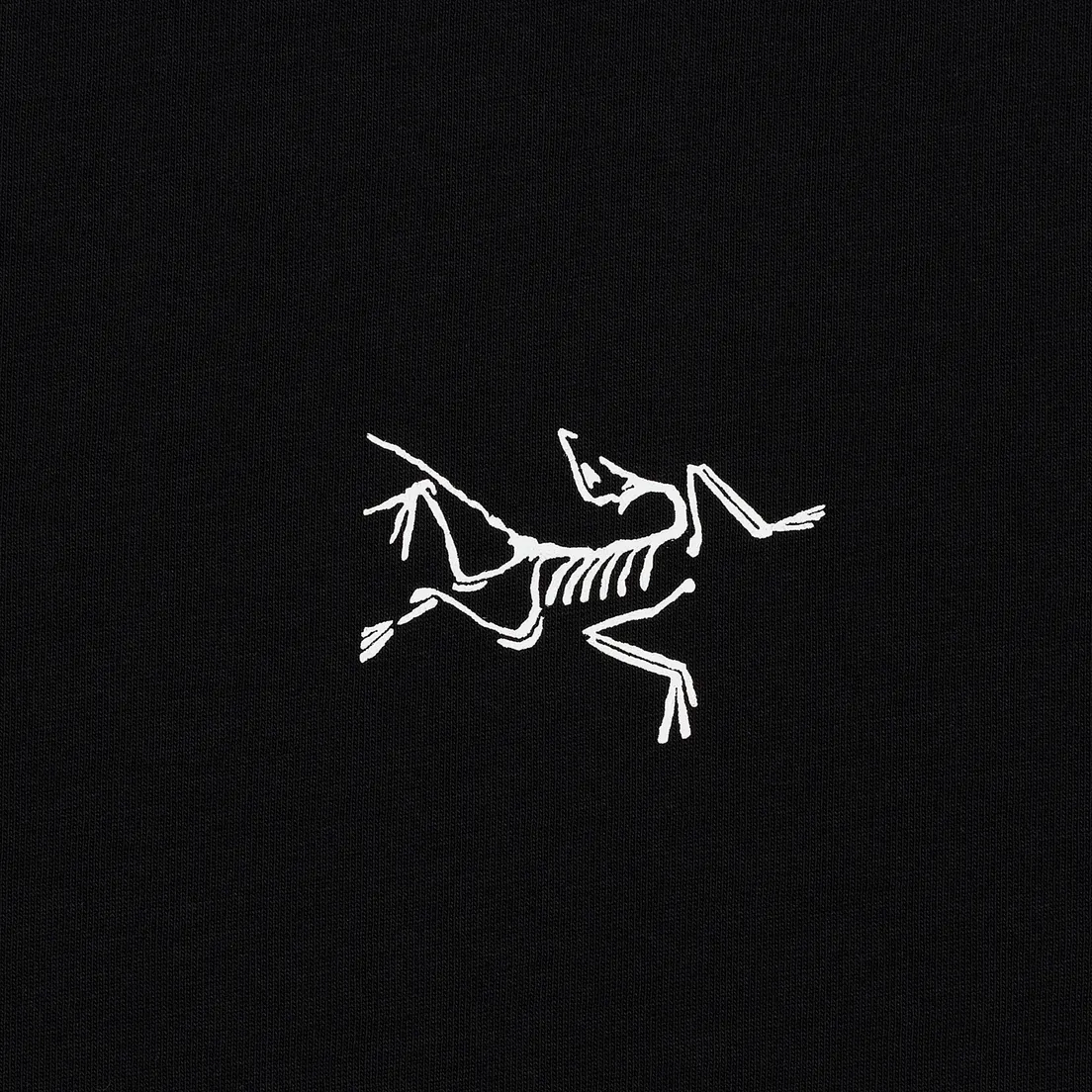 Arcteryx Мужской лонгслив Downword LS