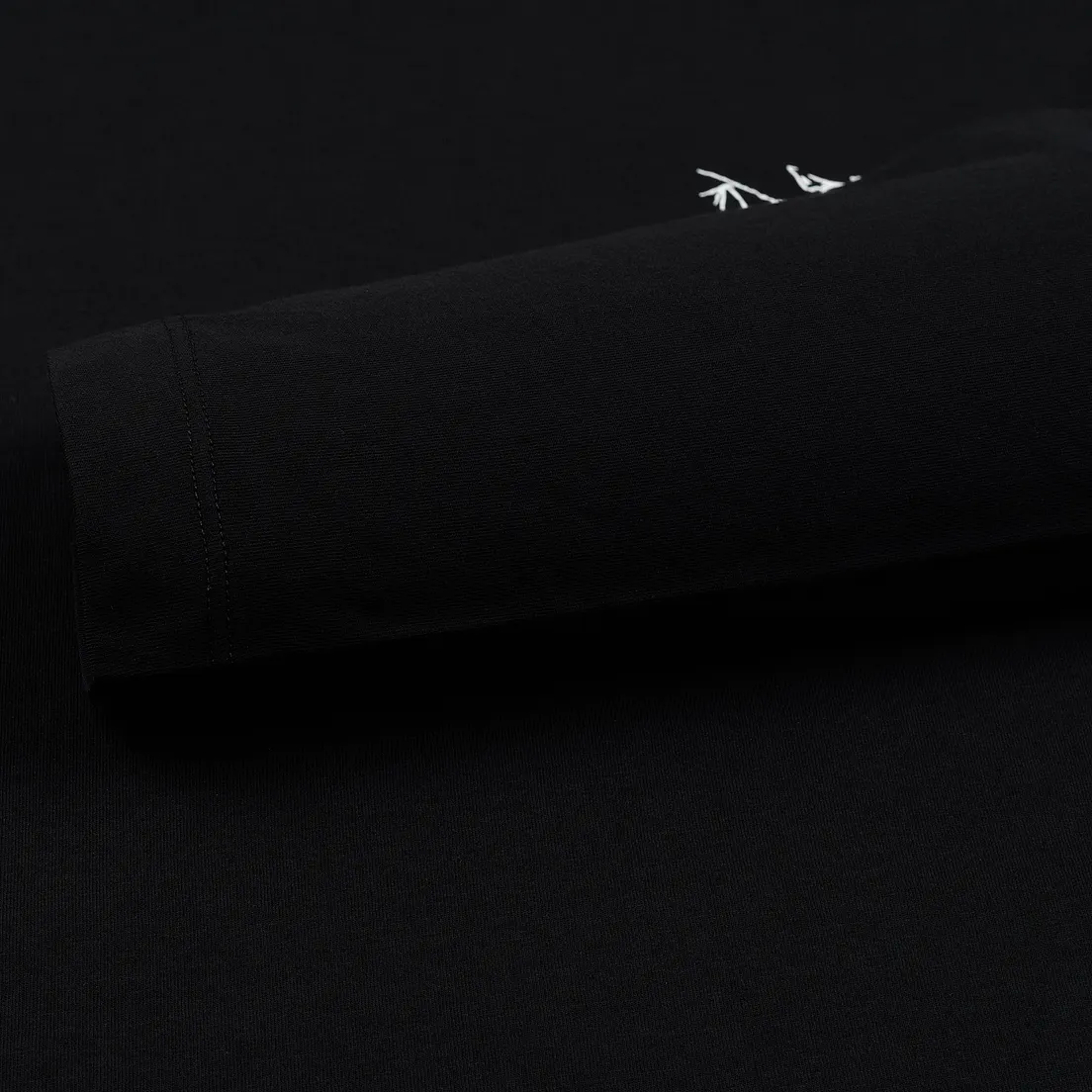 Arcteryx Мужской лонгслив Downword LS