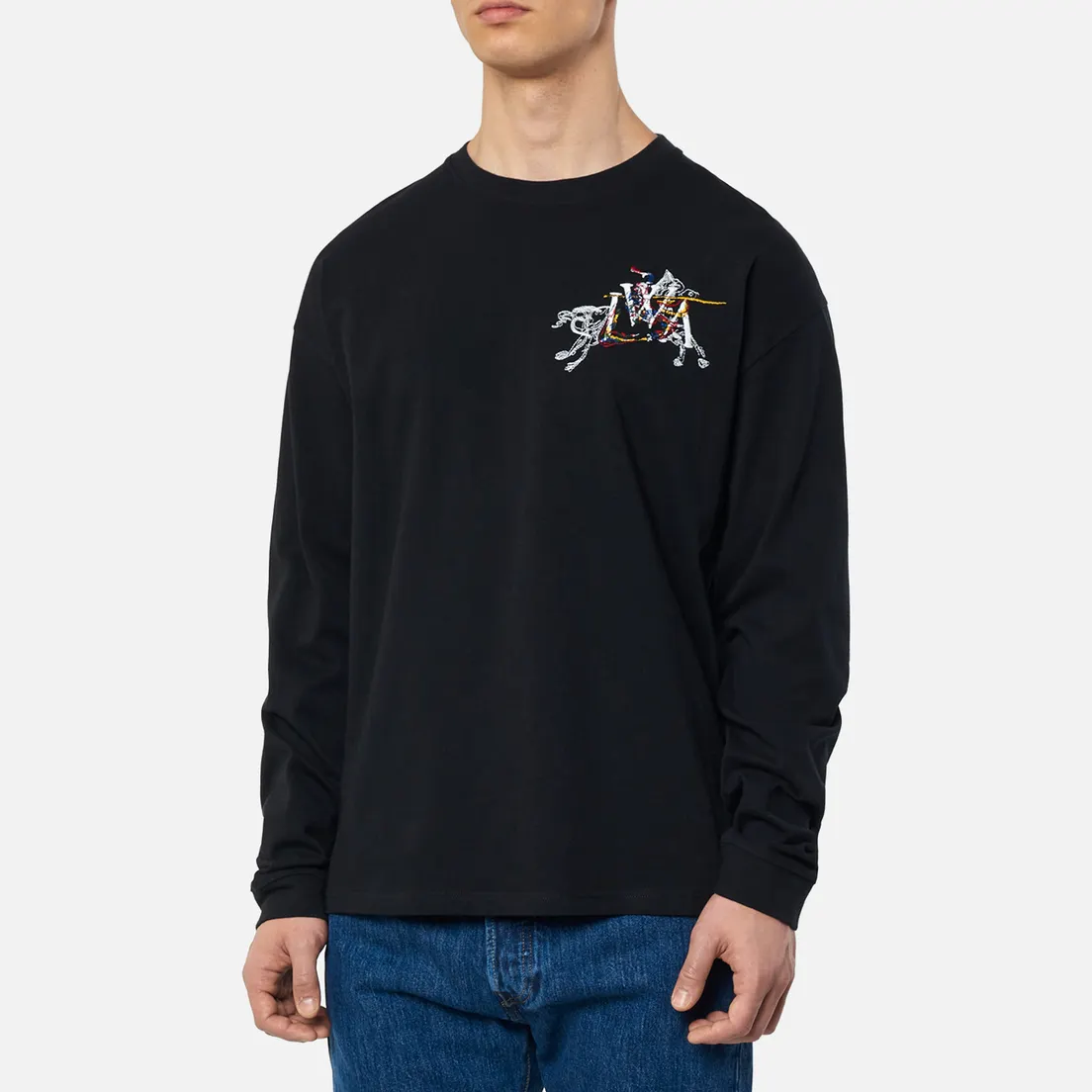 JW Anderson Мужской лонгслив Camelot Embroidery