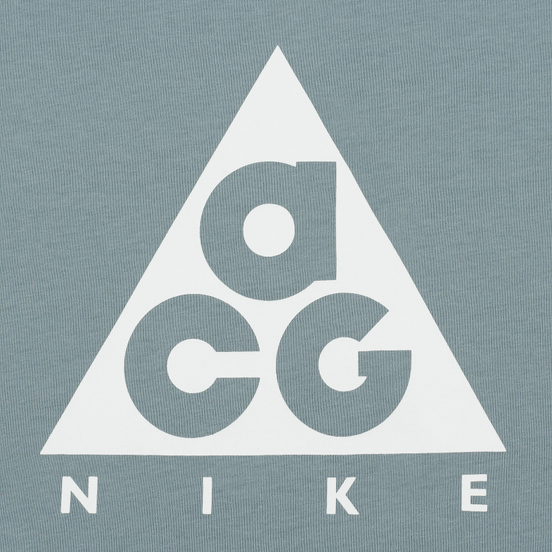 Мужской лонгслив Nike ACG LS Logo Aviator Grey/Summit White