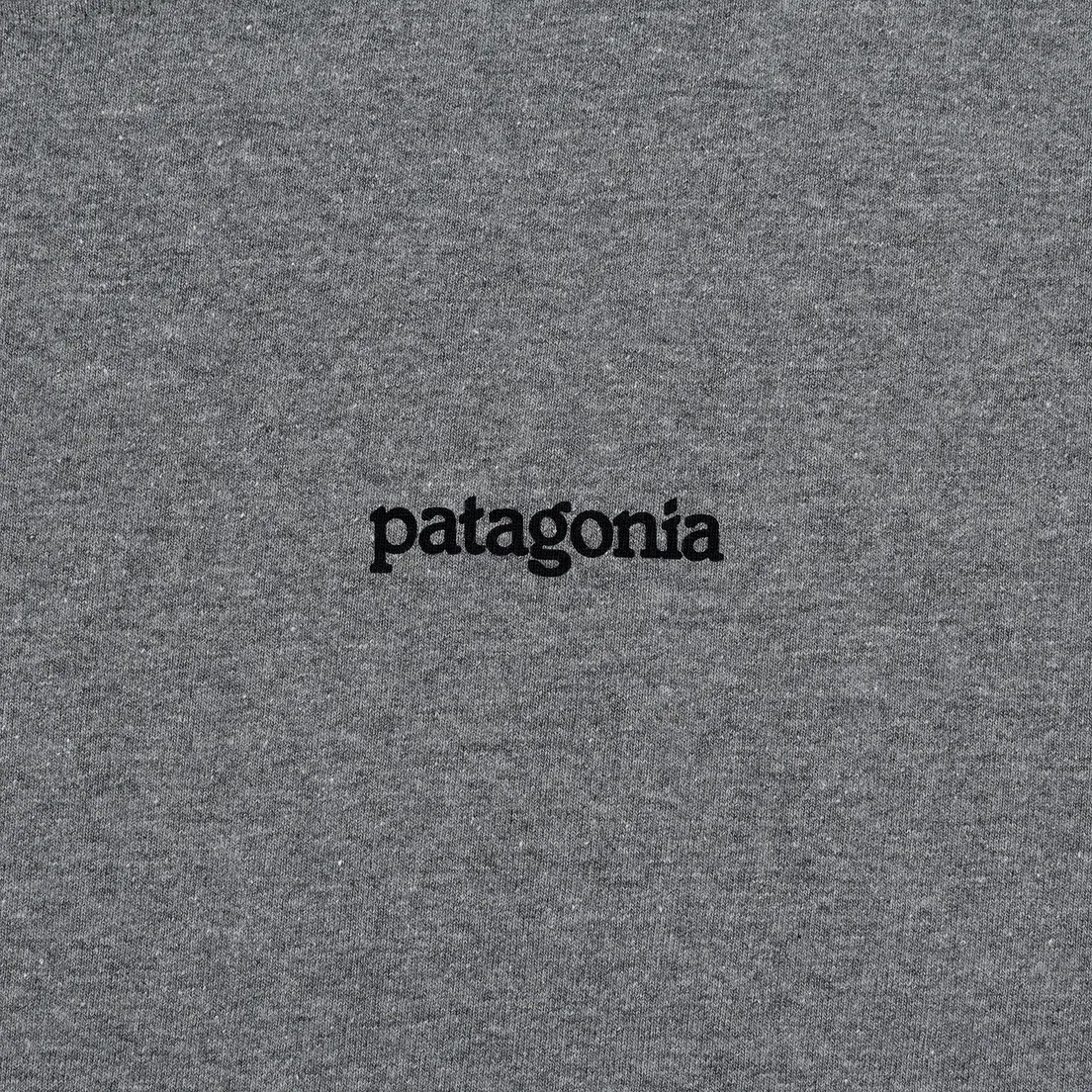 Patagonia Мужской лонгслив Fitz Roy Horizons