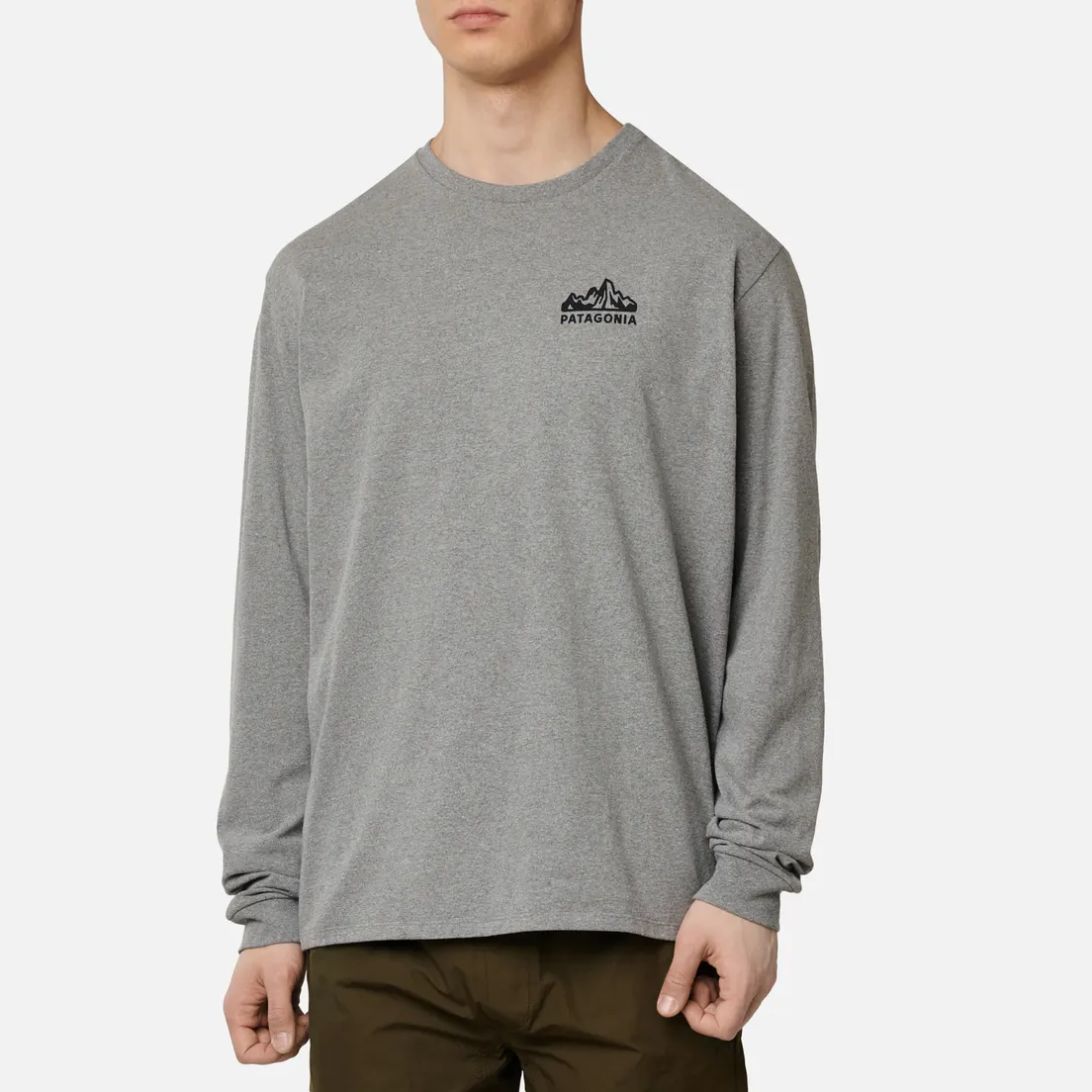 Patagonia Мужской лонгслив Fitz Roy Horizons Logo