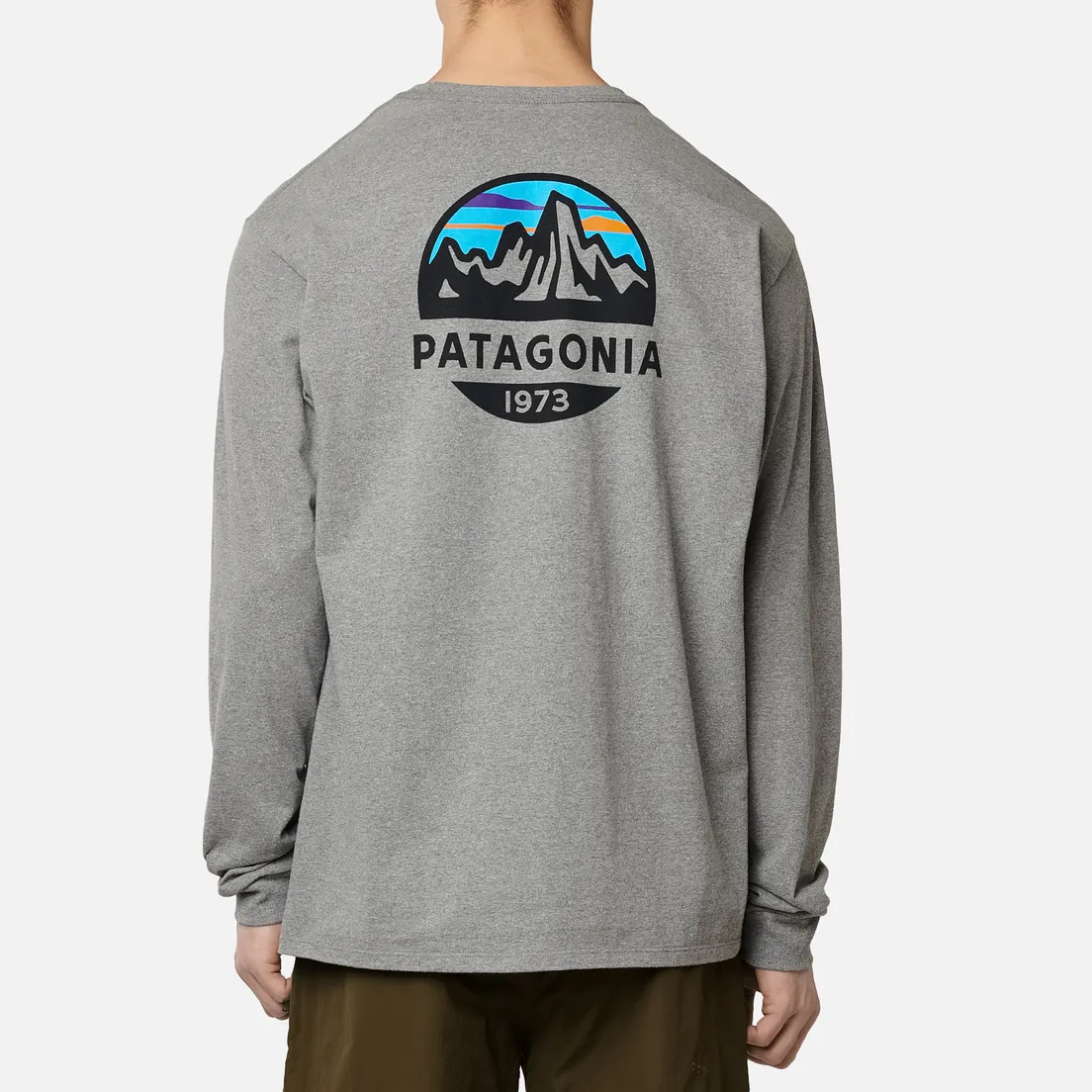Patagonia Мужской лонгслив Fitz Roy Horizons Logo
