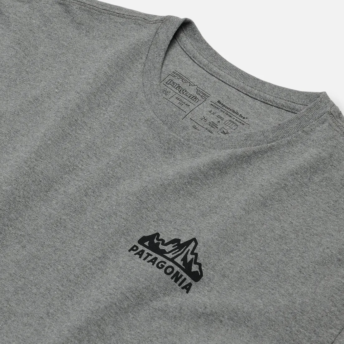 Patagonia Мужской лонгслив Fitz Roy Horizons Logo