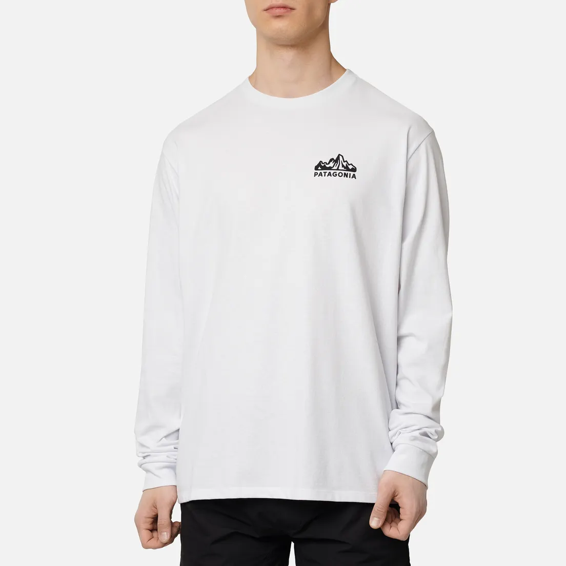 Patagonia Мужской лонгслив Fitz Roy Horizons Logo