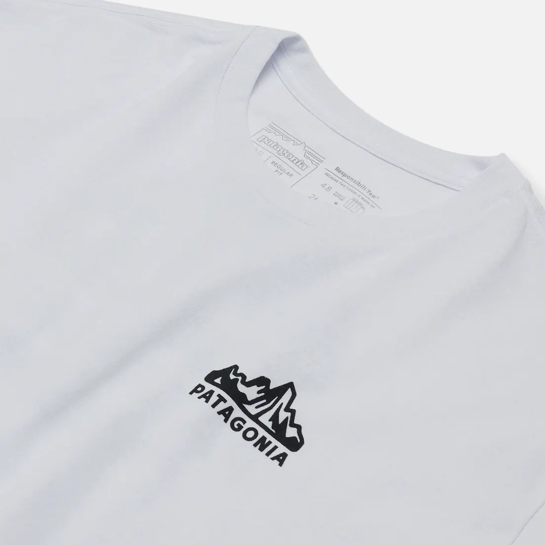 Patagonia Мужской лонгслив Fitz Roy Horizons Logo