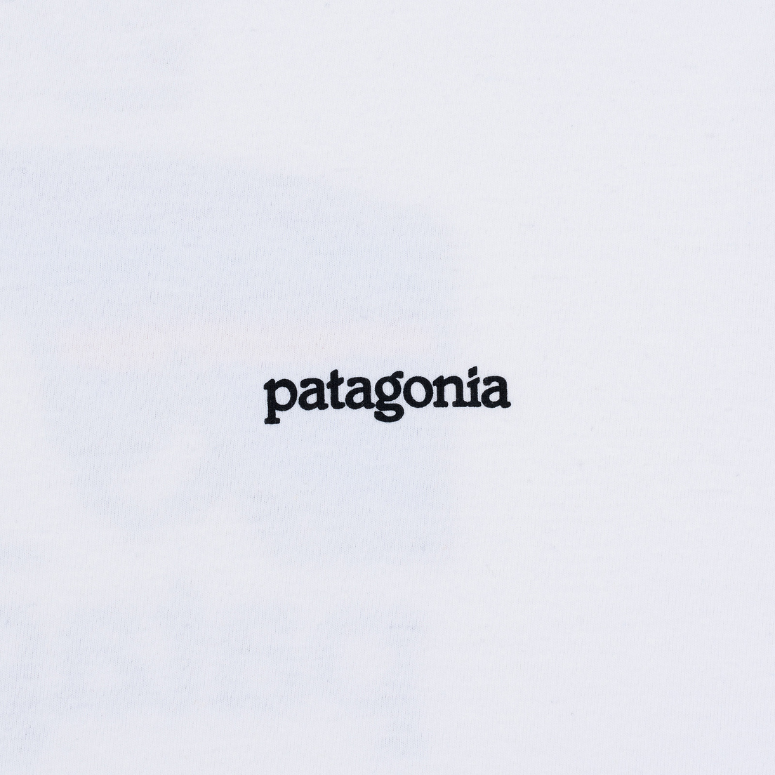 Patagonia Мужской лонгслив Fitz Roy Horizons