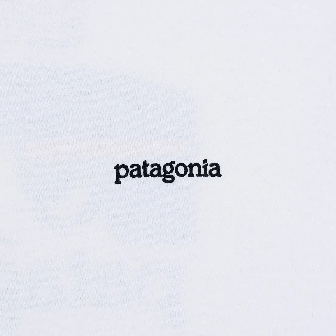Patagonia Мужской лонгслив Fitz Roy Horizons