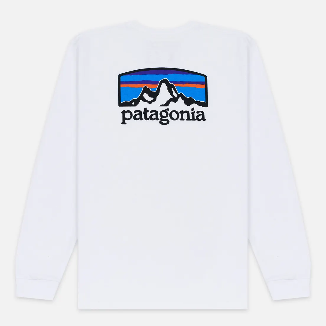 Patagonia Мужской лонгслив Fitz Roy Horizons