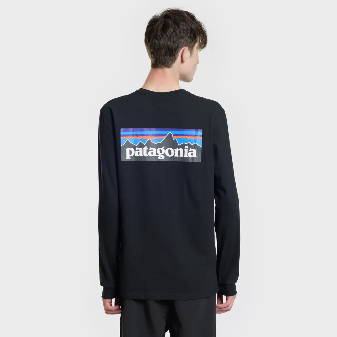 Patagonia Мужской лонгслив P-6 Logo