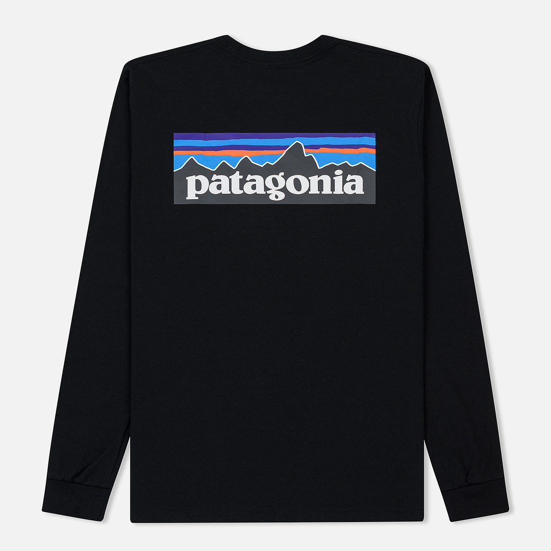 Patagonia Мужской лонгслив P-6 Logo