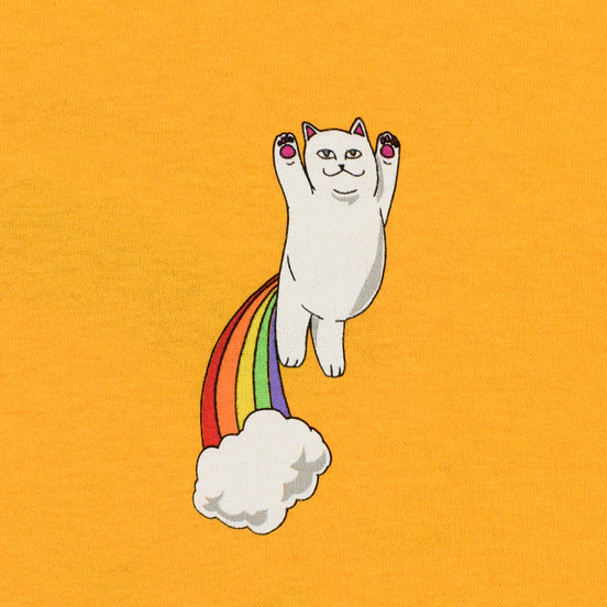 Мужской лонгслив RIPNDIP Double Nerm Rainbow Gold